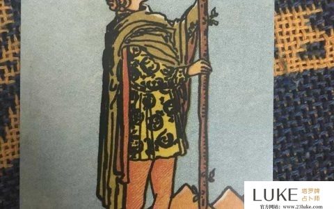 【權杖侍從正位】爱情,婚姻,事业,学业,人际,财运解读