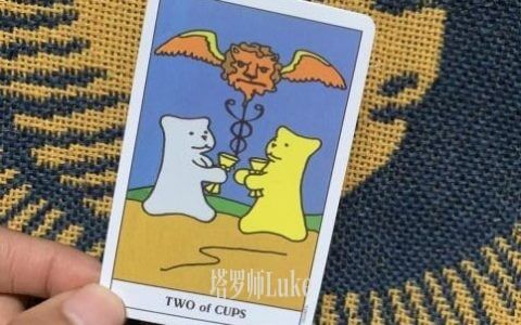 圣杯二(TWO OF CUPS）逆位-正位牌义解析教学