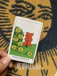 星币七(SEVEN OF PENTACLES）逆位-正位牌义解析教学