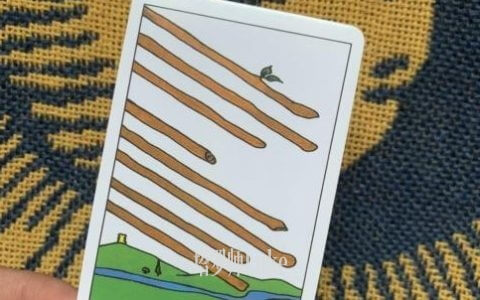 权杖八(EIGHT OF WANDS）逆位-正位牌义解析教学