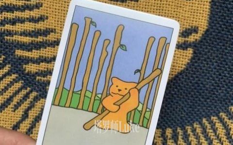 权杖九(NINE OF WANDS）逆位-正位牌义解析教学