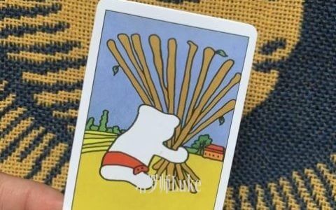 权杖十(TEN OF WANDS）逆位-正位牌义解析教学